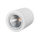 Светильник SP-FOCUS-R120-16W Day White (Arlight, IP20 Металл, 3 года)  021426  Arlight