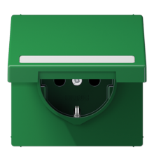 SCHUKO розетка с полем для надписи и крышкой LS1520BFNAKLGN Jung