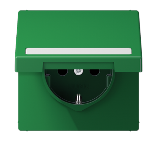 SCHUKO розетка с полем для надписи и крышкой LS1520BFNAKLGN Jung