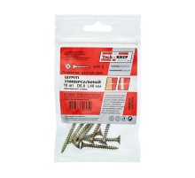 Саморез ШУж 5,0х40 пот. гол. (10 шт) - пакет ( 0,035 кг)  102510  Tech-KREP