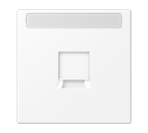 Плата (фиксация защёлкиванием) для одного модуля с полем для надписи; термопласт; белый матовый LS1969-1NAWEWWM Jung