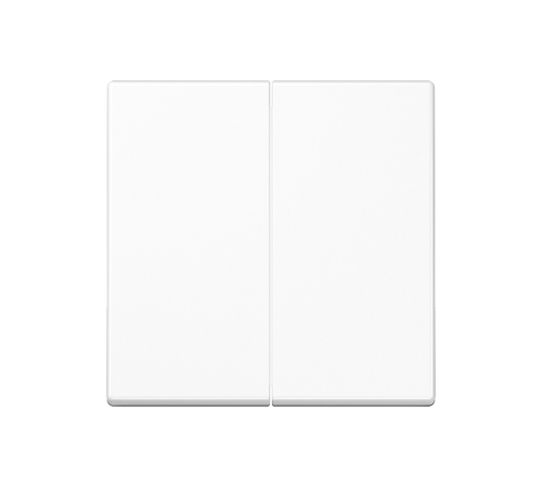 Клавиша для выключателя A595BFWW Jung