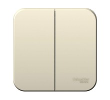 Blanca Молочный О/У с изолирующей пластиной Выключатель 2-клавишный 6А, 250B  BLNVA065012  SE