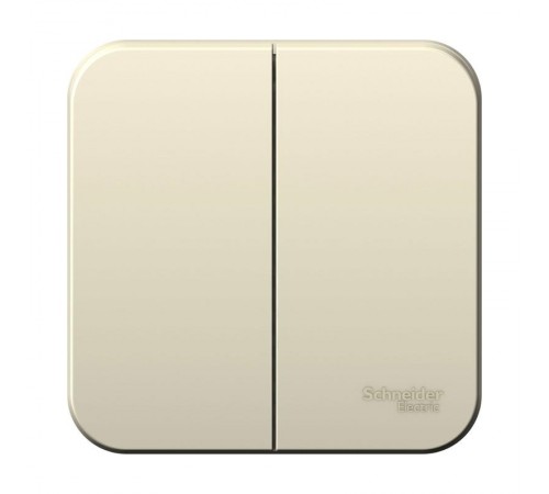 Blanca Молочный О/У с изолирующей пластиной Выключатель 2-клавишный 6А, 250B  BLNVA065012  SE