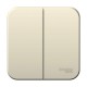 Blanca Молочный О/У с изолирующей пластиной Выключатель 2-клавишный 6А, 250B  BLNVA065012  SE