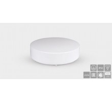 Световой указатель аварийного освещения люминесцентный GALANTHUS BS-1200-1x36 36Вт централизованный накладной IP50  a9473  Белый свет