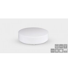 Световой указатель аварийного освещения люминесцентный GALANTHUS BS-1200-1x36 36Вт централизованный накладной IP50  a9473  Белый свет