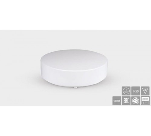 Световой указатель аварийного освещения люминесцентный GALANTHUS BS-1200-1x36 36Вт централизованный накладной IP50  a9473  Белый свет