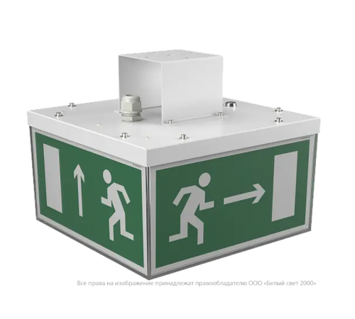 Световой указатель аварийного освещения BS-ADAMAT-51-S1-STABILAR2  a15398  Белый свет