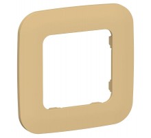 FLITE Artistic Рамка 1-ая РУ-1-А-ФлШм шамуа  FI-M12-31-20-K89  IEK