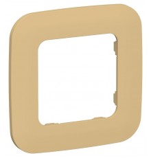 FLITE Artistic Рамка 1-ая РУ-1-А-ФлШм шамуа  FI-M12-31-20-K89  IEK