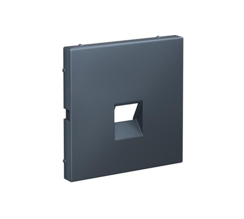 ArtGallery Грифель Накладка информационная типа Keystone  GAL000784  SE