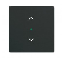 Клавиша одинарная free@home, жалюзи, future, цвет чёрный бархат 2CKA006220A0620  ABB