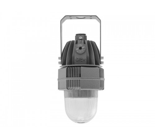 Светильник светодиодный взрывозащищенный GLOBUS LED 25 D120 B Ex  1388000170  Световые Технологии