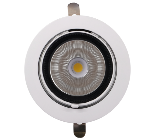 Светильник светодиодный встраиваемый downlight ДВО PLED DL4 40W 4000K 24° поворот White IP40  .5021921  Jazzway