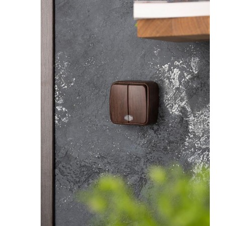 Выключатель 2-клавишный ОП Минск 10А с индикатором тёмное дерево EKF  EGV10-123-40  EKF