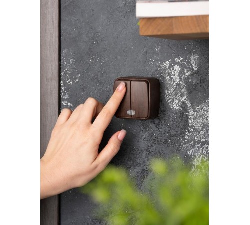 Выключатель 2-клавишный ОП Минск 10А с индикатором тёмное дерево EKF  EGV10-123-40  EKF