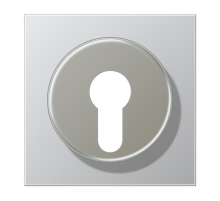 Крышка для выключателя с замком; алюминий AL2928 Jung