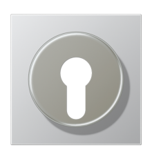 Крышка для выключателя с замком; алюминий AL2928 Jung