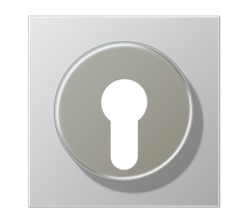 Крышка для выключателя с замком; алюминий AL2928 Jung