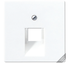 Крышка для одинарных телефонных и компьютерных розеток (UAE), фиксация винтом; термопласт; слоновая кость; A500  A569-1BFPLUA  Jung