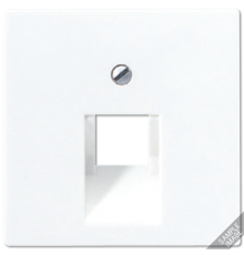 Крышка для одинарных телефонных и компьютерных розеток (UAE), фиксация винтом; термопласт; слоновая кость; A500  A569-1BFPLUA  Jung