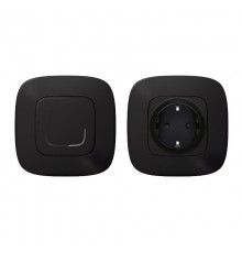 Пакет для управления быт. электроприборами Valena Allure (розетка Умн. с/з 16А 230В+Умн. беспроводн. 1-кл. выкл.) антрацит Netatmo  752854  Legrand