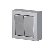 Выключатель двухклавишный, накладного монтажа, Impressivo, 2 доп.клеммы, алюминий  1065A-83   2TKA00001600  ABB