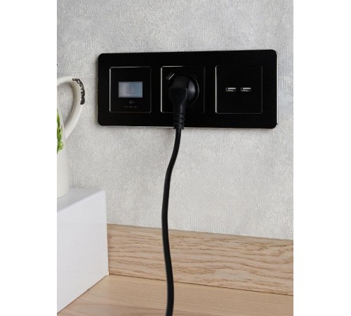 BRITE Розетка USB A+A 3,1А РЮ10-1-БрЧ черный  BR-U21-D31-K02  IEK