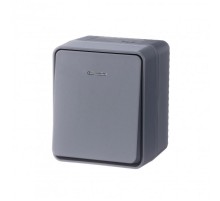 AtlasDesign Profi54 Антрацит О/У Выключатель 1-клавишный с подсветкой 10 АХ    ATN544013  SE