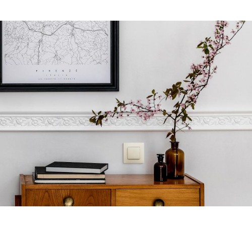 Etika Слоновая кость Выключатель 1-клавишный 10А, винтовые клеммы  672301  Legrand