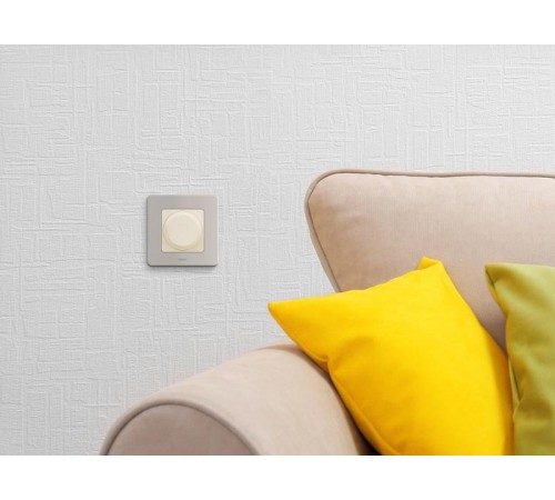 Inspiria Шампань Рамка 1-ая  673938  Legrand