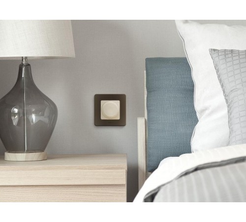 Inspiria Бронза Рамка 1-ая  673939  Legrand