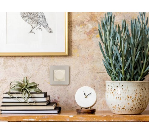 Inspiria Шампань Рамка 1-ая  673938  Legrand