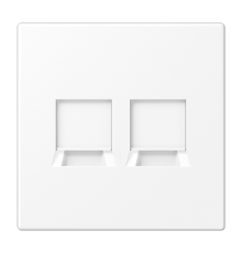 Плата (фиксация защёлкиванием) для двух модулей; термопласт; белый матовый  LS1969-25WEWWM  Jung