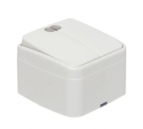 Минск Выключатель 2-клавишный ОП 10А с индикатором белый  EKF Basic  EGV10-123-10  EKF