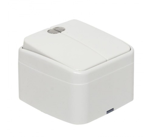 Минск Выключатель 2-клавишный ОП 10А с индикатором белый  EKF Basic  EGV10-123-10  EKF