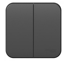 Blanca Антрацит О/У Выключатель 2-клавишный, 10А, 250B  BLNVA105006  SE