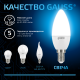 Лампа светодиодная Свеча 6.5W 550lm 6500К E14 LED 1/10/100  103101307  Gauss