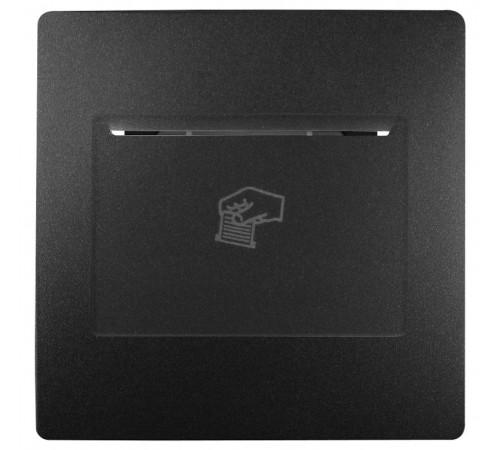 Накладка на 12-4105-99, 12, 12-6201-05 антрацит  Б0043204  ЭРА