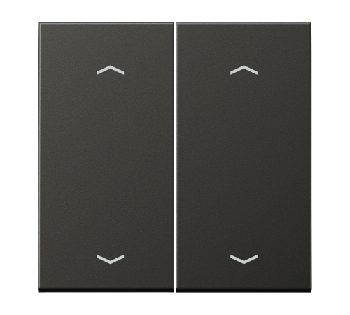 Клавиши для двойной кнопки BCU; антрацит AL2995MPAN Jung