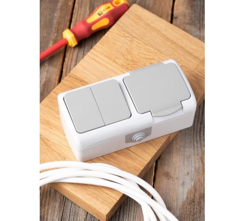 Мурманск Блок  розетка 1-м 16А с заземлением с крышкой + 2-кл выключатель IP54 серый EKFEFRV16-052-30-540EKF