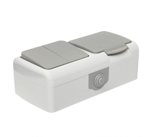 Мурманск Блок  розетка 1-м 16А с заземлением с крышкой + 2-кл выключатель IP54 серый EKFEFRV16-052-30-540EKF