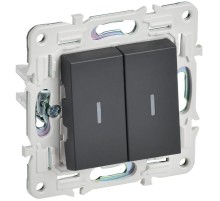 SKANDY Выключатель 2-клавишный с индикацией 10А SK-V09T титан  SK-V20-1-10-K48  IEK