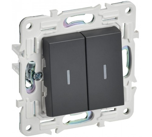 SKANDY Выключатель 2-клавишный с индикацией 10А SK-V09T титан  SK-V20-1-10-K48  IEK