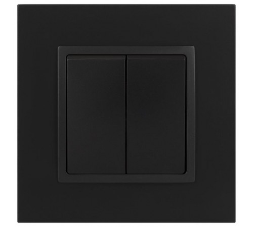 14-1104-05 Выключатель 2-клавишный, 10АХ-250В, IP20, Эра Elegance, антрацит  Б0034234  ЭРА