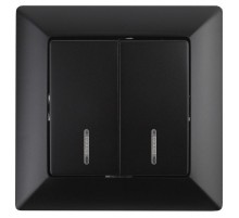 4-105-05 Intro Выключатель двойной с подсветкой, 10А-250В, СУ, Solo, антрацит  Б0043295  Intro