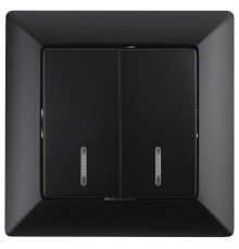 4-105-05 Intro Выключатель двойной с подсветкой, 10А-250В, СУ, Solo, антрацит  Б0043295  Intro