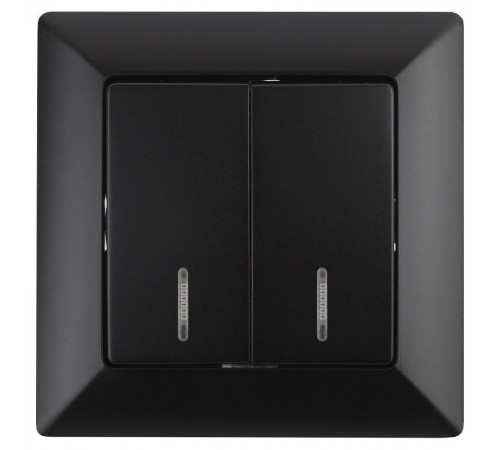 4-105-05 Intro Выключатель двойной с подсветкой, 10А-250В, СУ, Solo, антрацит  Б0043295  Intro