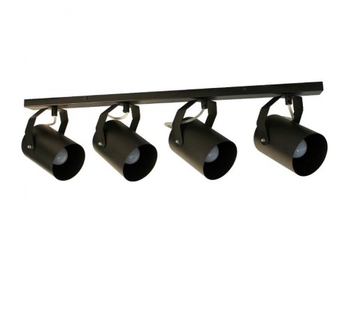 Светильник "Трек" НПБ 01-4х60-514 черн.матовый/черный  1005404531  Элетех